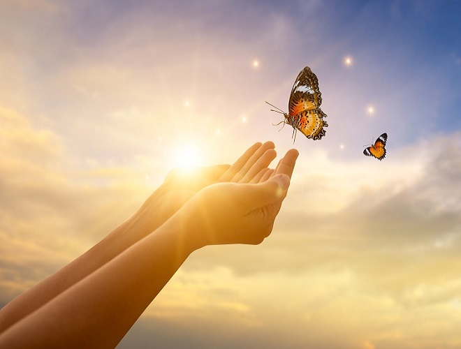 The girl frees the butterfly from moment Concept of freedom